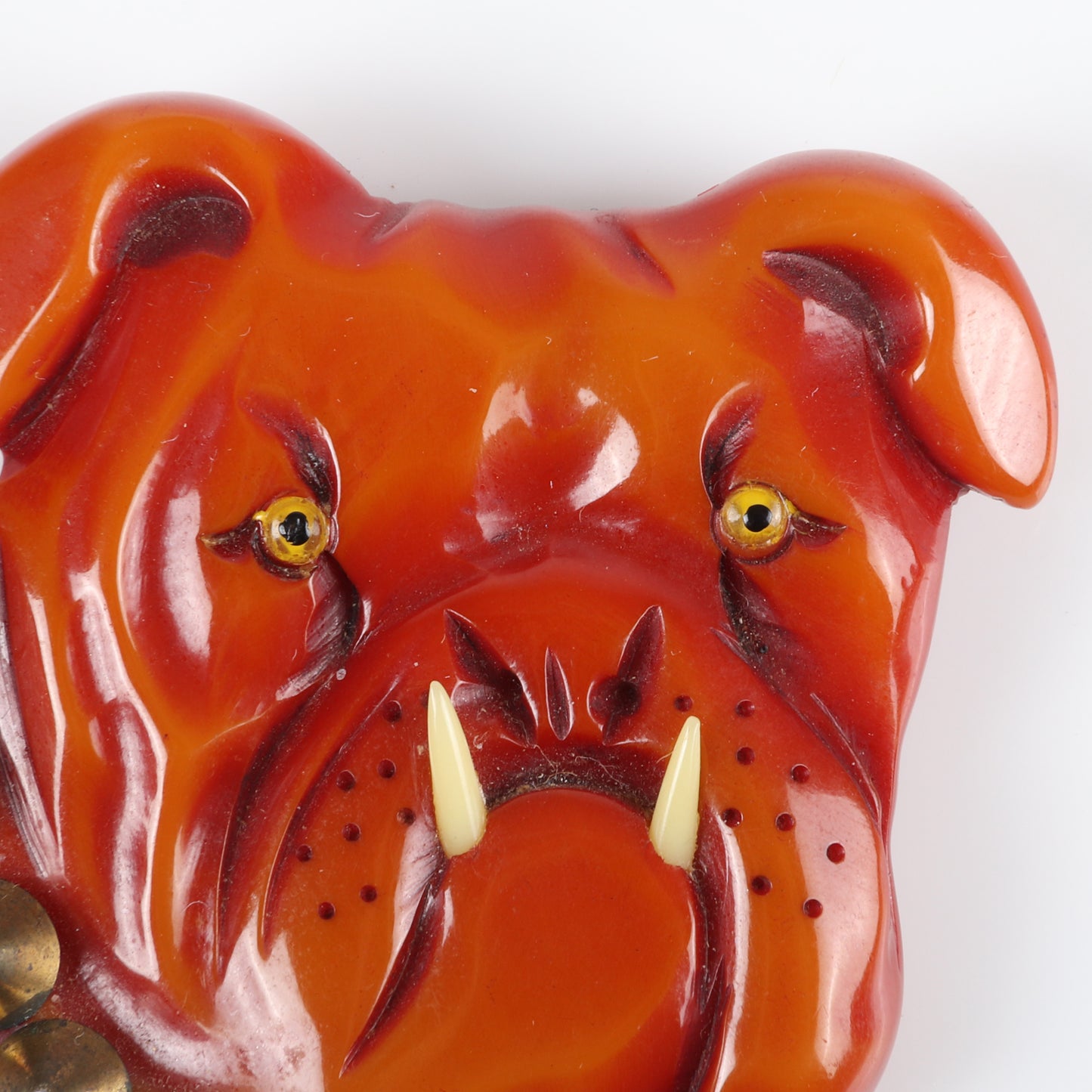 Vintage Bakelite RARE carved figural bulldog dog head pin brooch, over-dyed with glass eyes, applied celluloid teeth and metal stud collar. 2 1/2"H x 2 3/4"W