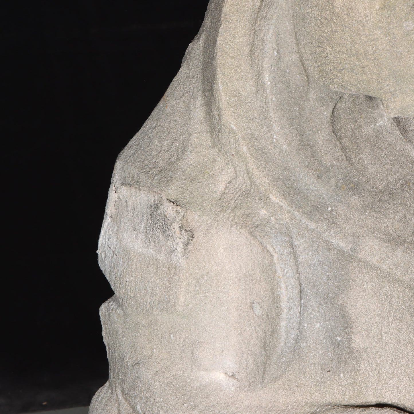 Heraldic Dog Guardian; full body gargoyle/grotesque beast with shield: 1920s Harlem, New York, Gothic Style