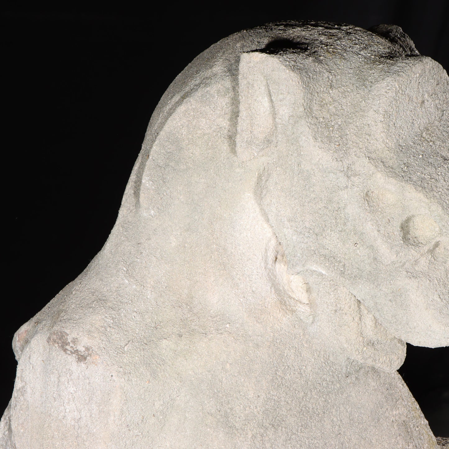 Heraldic Lion Guardian; full body gargoyle/grotesque beast with shield: 1920s Harlem, New York, Gothic Style