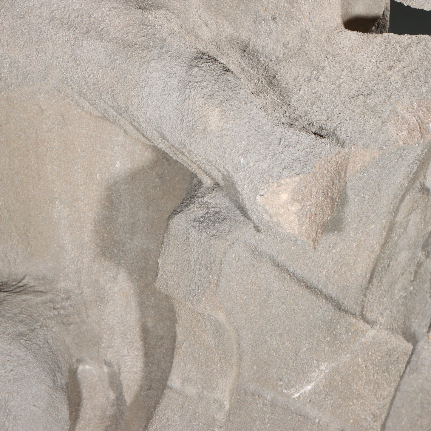 Heraldic Mythological Guardian; full body gargoyle/grotesque beast with shield: 1920s Harlem, New York, Gothic Style