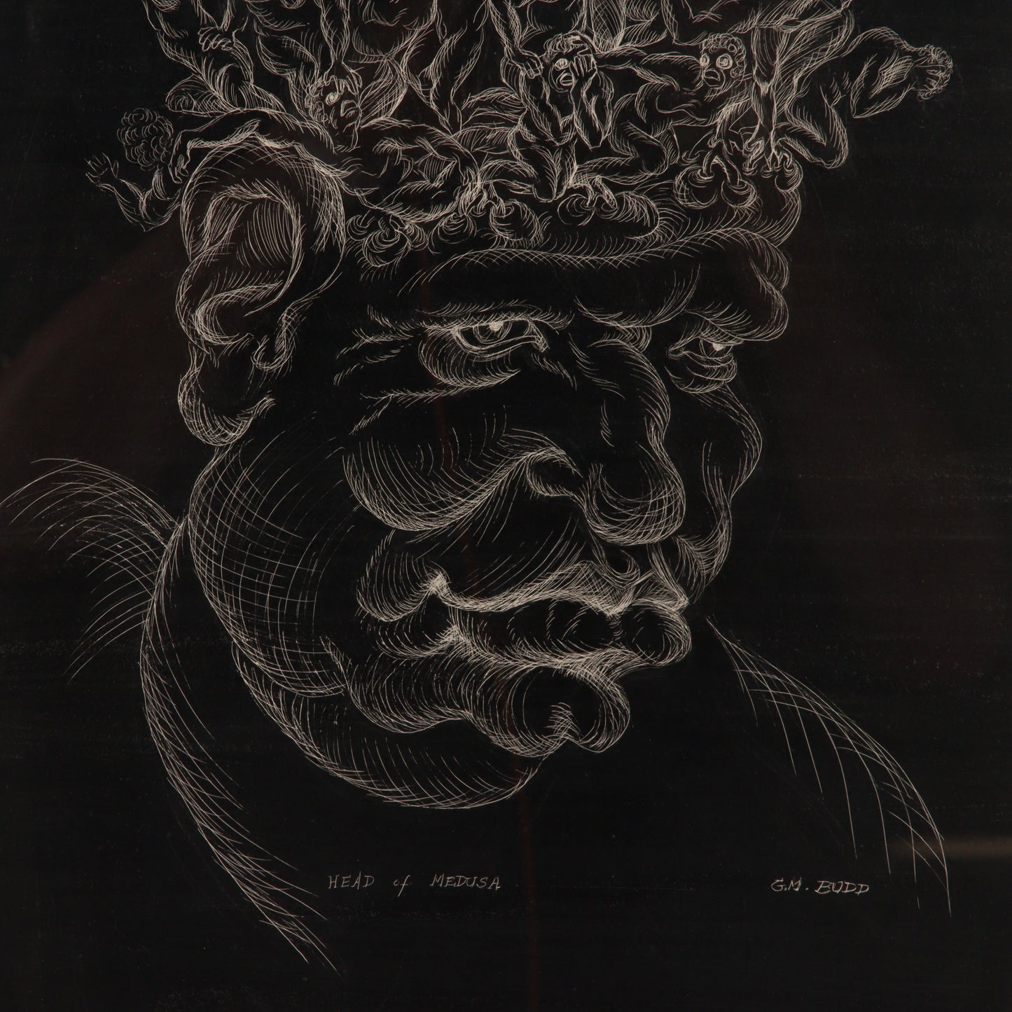 G.M. Budd, American (20th century), Head of Medusa, incising on scratchboard (India ink on white clay on board), 17"H x 12"W (sight)