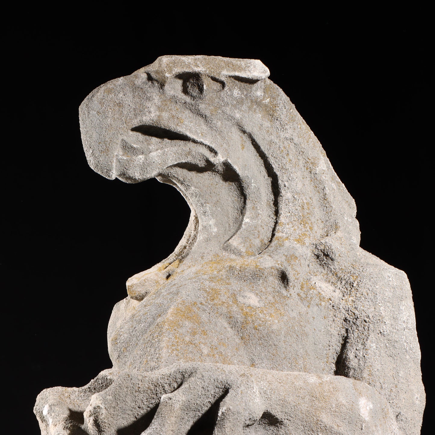 Heraldic Eagle/Falcon Guardian; full body gargoyle/grotesque beast with shield: 1920s Harlem, New York, Gothic Style