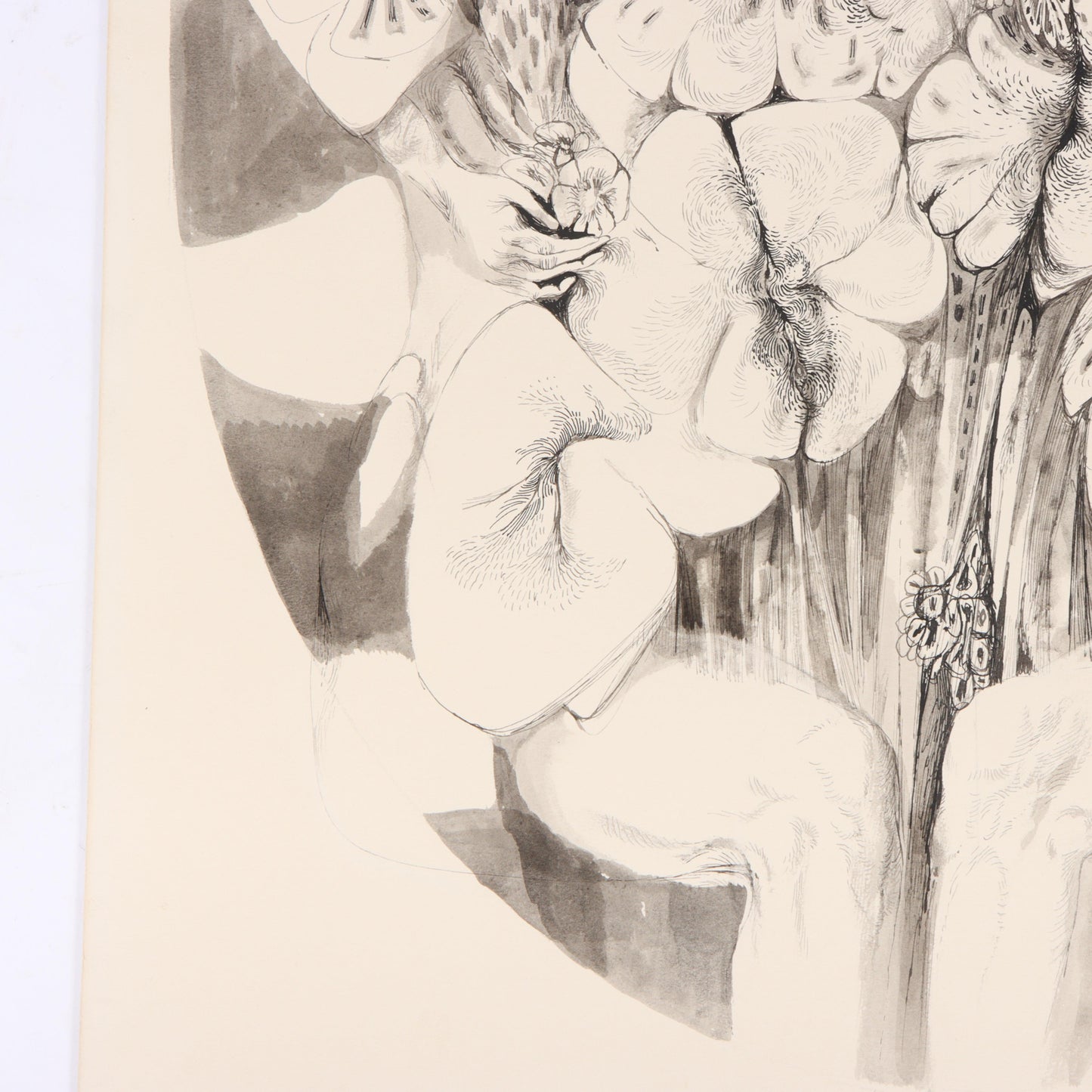 Sante Graziani, American (1920-2005), woman enveloped by flowers, ink and wash on board, 26"H x 20"W