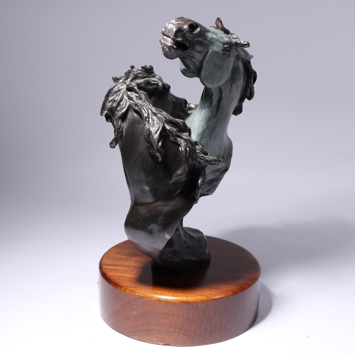 Debbe Edwards, Native American (20th/21st century), Untamed Fury, patinated bronze, 198"H x 12"W
